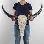 Carved Buffalo Skull // Dragon