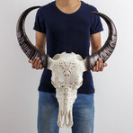 Carved Buffalo Skull // From Hell