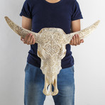 Carved Buffalo Skull // All Laced Up