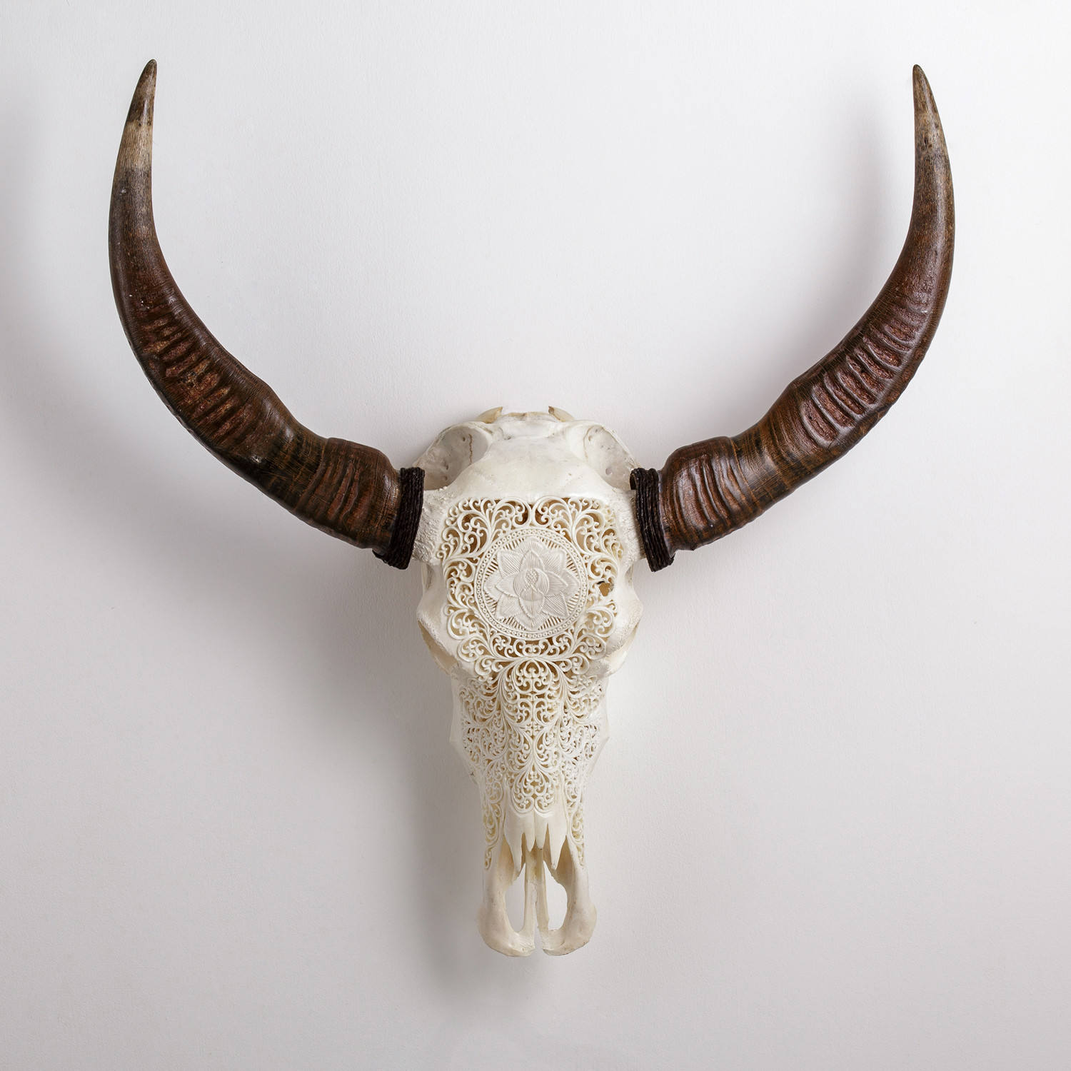 bunker bjærgning udkast Carved Buffalo Skull // Lotus Love - Skull Bliss - Touch of Modern