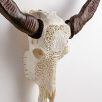 Carved Buffalo Skull // Lotus Love