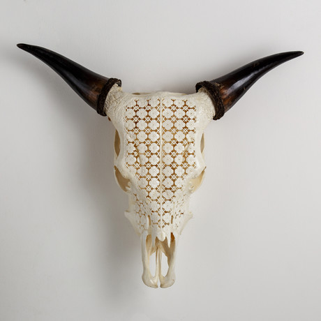 Carved Cow Skull // Blossom