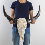 Carved Buffalo Skull // White Mandala