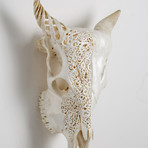 Carved Cow Skull // Side By Side