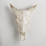 Carved Cow Skull // Side By Side