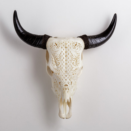 Carved Cow Skull // XL Horns // Celtic