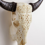 Carved Cow Skull // XL Horns // Celtic Flower