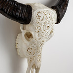 Carved Cow Skull // XL Horns // 3 Circles