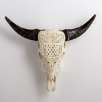Carved Cow Skull // XL Horns // Celtic Flower