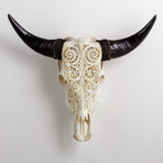 Carved Cow Skull // XL Horns // 6 Circles