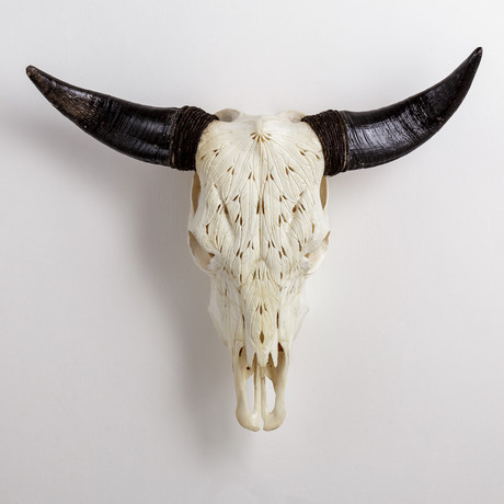 Carved Cow Skull // XL Horns // Feathers