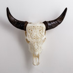 Carved Cow Skull // XL Horns // Flower