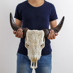 Carved Cow Skull // XL Horns // Flower