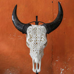 Carved Cow Skull // XL Horns // Tribal #6