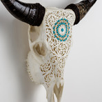 Carved Cow Skull // XL Horns // Turquoise Orbit