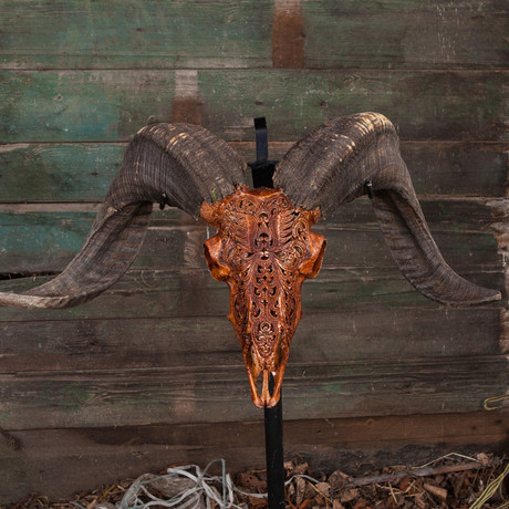 Carved Ram Skull // Tribal #1