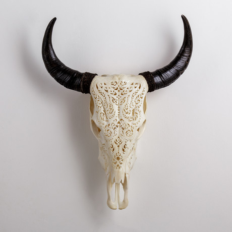 Carved Cow Skull // XL Horns // Tribal #2