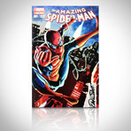 Signed Comics // Spiderman // Set of 4