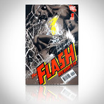 Signed Comics // Green Lantern & Flash // Set of 4