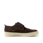 Wing-Tip Sneaker // Dark Brown (Euro: 41)