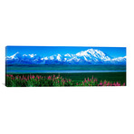 Mountains & Lake Denali National Park AK USA // Panoramic Images (36"W x 12"H x 0.75"D)