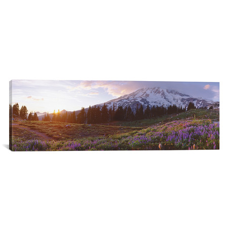 Spring Landscape, Mount Rainier Wilderness, Pierce County, Washington, USA // Panoramic Images (36"W x 12"H x 0.75"D)