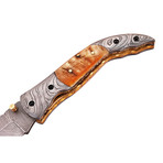 Damascus Folding Hunting Knife // Ram Horn Handle