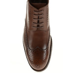 Medallion Wing-Tip Boot // Brown (Euro: 45)