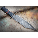 Handmade Damascus Hunting Knife // Buffalo Horn + Rosewood