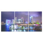 Miami Thunder (84" x 28")