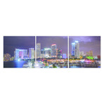 Miami Thunder (84" x 28")