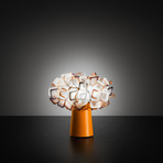 Clizia Mini Table Lamp (Orange)