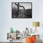 Saguaro National Monument (17"W x 21"H x 1"D)