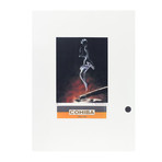 Pin Up In Smoke (12"W x 16"H x 1"D)