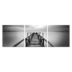 Pier in Black and white (Set of 3 - 20 x 20)