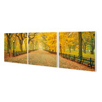 Central Park Path In The Fall (20"H x 60"W x 1"D)