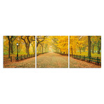 Central Park Path In The Fall (20"H x 60"W x 1"D)
