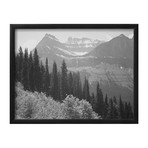 In Glacier National Park (17"W x 21"H x 1"D)