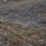 Vintage Overdye Collection // 48473