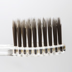 Charcoal & Gold Toothbrush + Organic Toothpaste // Set of 5