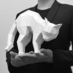 SMRT Display // Timid Cat