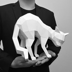 SMRT Display // Timid Cat