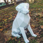 SMRT Display // Labrador