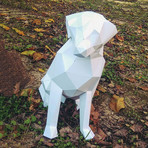 SMRT Display // Labrador