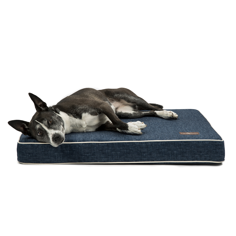 Jax and Bones Memory Foam Pet Beds Touch of Modern