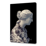 Venus V2 // Stretched Canvas (16"W x 24"H)