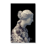 Venus V2 // Stretched Canvas (16"W x 24"H)