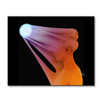 Overexpressed // Stretched Canvas