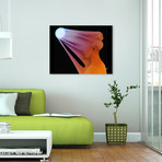 Overexpressed // Stretched Canvas