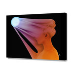 Overexpressed // Stretched Canvas